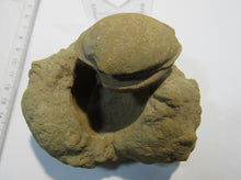 Laden Sie das Bild in den Galerie-Viewer, Baryt Schwerspat Konkretion Steinhardter Erbse 2Muschel Klapperstein Hunsrück, Deutschland