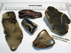 Holz Los 5 Stück fossiles Kieselholz rundum poliert Trias Ankara, Türkei