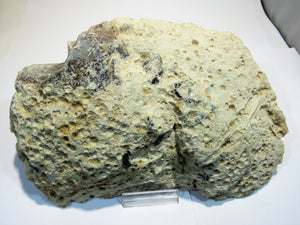 Achat edle Geode geschnittene End-Scheibe top Strukturen 0,97Kg, Brasilien