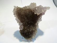 Laden Sie das Bild in den Galerie-Viewer, Amethyst Amethystsonne Achatkatze Bergkristall 13cm Minas Gerais, Brasilien