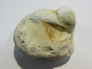 Klapperstein Chalcedon Flint Kiesel Schwamm Kreide Normandie, Frankreich