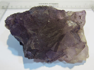 Fluorit massive violette Würfel Kristallstufe 12cm Tule Mine, Mexiko