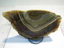 Laden Sie das Bild in den Galerie-Viewer, Amethyst Achat Geoden Endstück 13cm Schlottwitz Osterzgebirge Sachsen, Deutschland