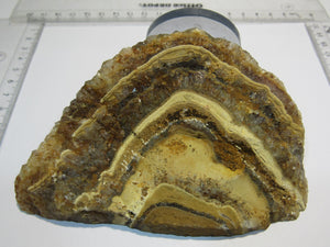 Amethyst Achat Geoden Endstück 13cm Schlottwitz Osterzgebirge Sachsen, Deutschland