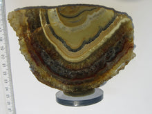 Laden Sie das Bild in den Galerie-Viewer, Amethyst Achat Geoden Endstück 13cm Schlottwitz Osterzgebirge Sachsen, Deutschland