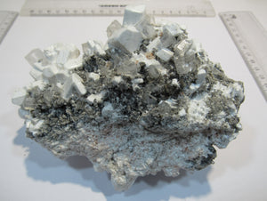 Pikromerit Schönit Kalihydrit Steinsalz Halit Kristallstufe 13cm Neuhof Ellers, Deutschland