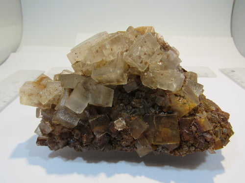 Steinsalz Halit Würfel Hämatit Färbung Stufe 510g Neuhof Ellers Fulda Hessen, Deutschland