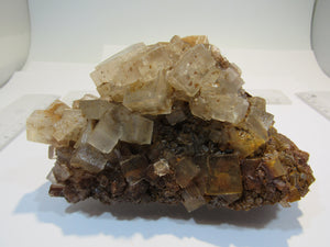 Steinsalz Halit Würfel Hämatit Färbung Stufe 510g Neuhof Ellers Fulda Hessen, Deutschland
