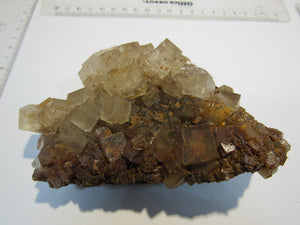 Steinsalz Halit Würfel Hämatit Färbung Stufe 510g Neuhof Ellers Fulda Hessen, Deutschland