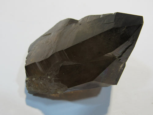 Rauchquarz Bergkristall Spitze 7cm Alpin Fibbia Sankt Gotthard Tessin, Schweiz