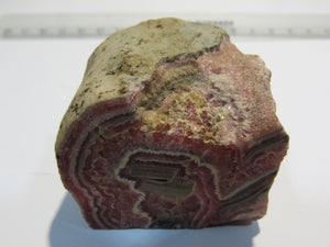 Rhodochrosit Knollenstück Anschnitte 4cm Cavnic Baia Mare, Rumänien