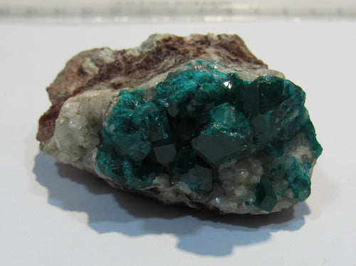 Dioptas tief grüne Kristalle auf Matrix 5cm Tsuneb Mine Namibia, Afrika