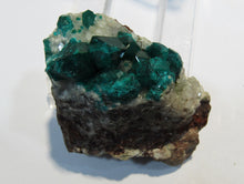 Laden Sie das Bild in den Galerie-Viewer, Dioptas tief grüne Kristalle auf Matrix 5cm Tsuneb Mine Namibia, Afrika
