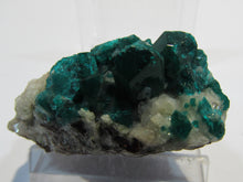 Laden Sie das Bild in den Galerie-Viewer, Dioptas tief grüne Kristalle auf Matrix 5cm Tsuneb Mine Namibia, Afrika