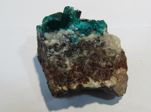 Dioptas tief grüne Kristalle auf Matrix 5cm Tsuneb Mine Namibia, Afrika
