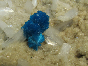 Chavansit xx blau auf Desmin und Heulandit 9cm Jalgaon Prov. Maharashtra, Indien