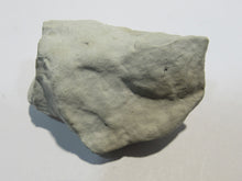 Laden Sie das Bild in den Galerie-Viewer, Pyrit Markasit Konkretion Fossil 3cm in Kreidestück Cap Blanc Nez, Frankreich