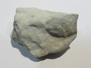 Pyrit Markasit Konkretion Fossil 3cm in Kreidestück Cap Blanc Nez, Frankreich