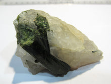 Laden Sie das Bild in den Galerie-Viewer, Turmalin herrlich grüne Kristalle in Quarz 6cm Minas Gerais, Brasilien