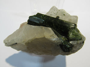 Turmalin herrlich grüne Kristalle in Quarz 6cm Minas Gerais, Brasilien