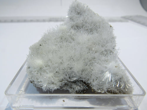 Aragonit Eisenblüte Nadelkristall Platte Mahlscheid Siegen, Deutschland