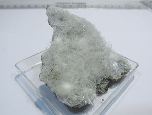 Aragonit Eisenblüte Nadelkristall Platte Mahlscheid Siegen, Deutschland