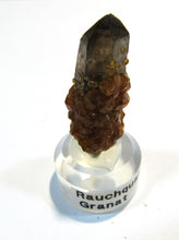 Laden Sie das Bild in den Galerie-Viewer, Rauchquarz mit Granat xx Spessartin Kristall auf Sockel Hunan, China
