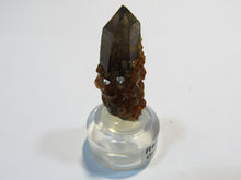 Laden Sie das Bild in den Galerie-Viewer, Rauchquarz mit Granat xx Spessartin Kristall auf Sockel Hunan, China