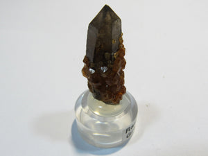 Rauchquarz mit Granat xx Spessartin Kristall auf Sockel Hunan, China