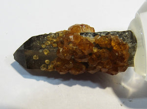 Rauchquarz mit Granat xx Spessartin Kristall auf Sockel Hunan, China