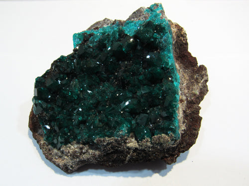 Dioptas XL Stufe tief grüne Kristalle auf Matrix 8cm Tsuneb Mine Namibia, Afrika