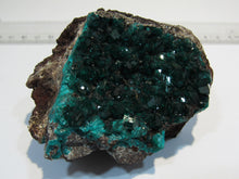Laden Sie das Bild in den Galerie-Viewer, Dioptas XL Stufe tief grüne Kristalle auf Matrix 8cm Tsuneb Mine Namibia, Afrika