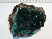 Laden Sie das Bild in den Galerie-Viewer, Dioptas XL Stufe tief grüne Kristalle auf Matrix 8cm Tsuneb Mine Namibia, Afrika