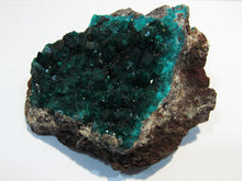 Laden Sie das Bild in den Galerie-Viewer, Dioptas XL Stufe tief grüne Kristalle auf Matrix 8cm Tsuneb Mine Namibia, Afrika