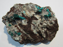 Laden Sie das Bild in den Galerie-Viewer, Dioptas XL Stufe tief grüne Kristalle auf Matrix 8cm Tsuneb Mine Namibia, Afrika