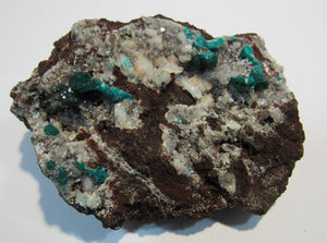 Dioptas XL Stufe tief grüne Kristalle auf Matrix 8cm Tsuneb Mine Namibia, Afrika