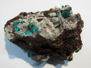 Dioptas XL Stufe tief grüne Kristalle auf Matrix 8cm Tsuneb Mine Namibia, Afrika