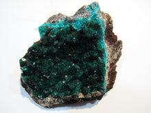 Laden Sie das Bild in den Galerie-Viewer, Dioptas XL Stufe tief grüne Kristalle auf Matrix 8cm Tsuneb Mine Namibia, Afrika