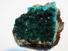 Laden Sie das Bild in den Galerie-Viewer, Dioptas XL Stufe tief grüne Kristalle auf Matrix 8cm Tsuneb Mine Namibia, Afrika