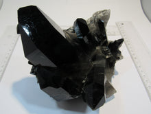 Laden Sie das Bild in den Galerie-Viewer, Rauchquarz Morion Bergkristall 1A Großstufe XL 16cm 1,65Kg Arkansas, USA