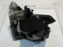 Laden Sie das Bild in den Galerie-Viewer, Rauchquarz Morion Bergkristall 1A Großstufe XL 16cm 1,65Kg Arkansas, USA