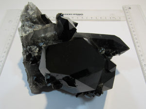 Rauchquarz Morion Bergkristall 1A Großstufe XL 16cm 1,65Kg Arkansas, USA