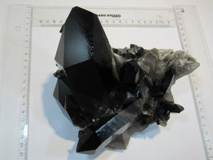 Rauchquarz Morion Bergkristall 1A Großstufe XL 16cm 1,65Kg Arkansas, USA