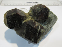 Laden Sie das Bild in den Galerie-Viewer, Granat Almandin Stufe mit 3 großen Kristallen Glimmerschiefer Ötztal Steiermark, Österreich