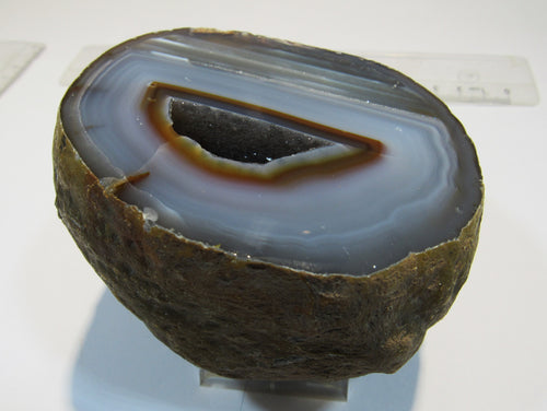 Achat halbe Geode Quarz Druse geschnitten poliert 660g feine Strukturen, Brasilien