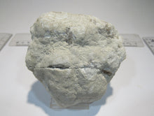 Laden Sie das Bild in den Galerie-Viewer, Bergkristall Amethyst Geode 2 feine Drusen Hälften 337g Smara, Westsahara