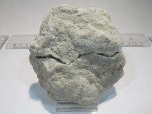 Laden Sie das Bild in den Galerie-Viewer, Bergkristall Amethyst Geode 2 feine Drusen Hälften 337g Smara, Westsahara