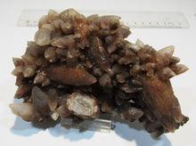 Laden Sie das Bild in den Galerie-Viewer, Calcit Skalenoeder Stufe 13cm Hämatit Färbung Kaulbach Rheinland, Deutschland