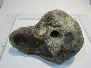 Klapperstein sehr laut Flint mit Schwamm sichtbar XL 15cm Kreide Normandie, Frankreich