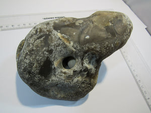 Klapperstein sehr laut Flint mit Schwamm sichtbar XL 15cm Kreide Normandie, Frankreich